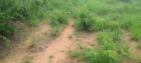 A picture of SHAMBA HEKA 6 LINA UZWA LIPO MZENGA MKOA WA PWANI