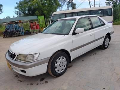 A picture of PREMIO OLD