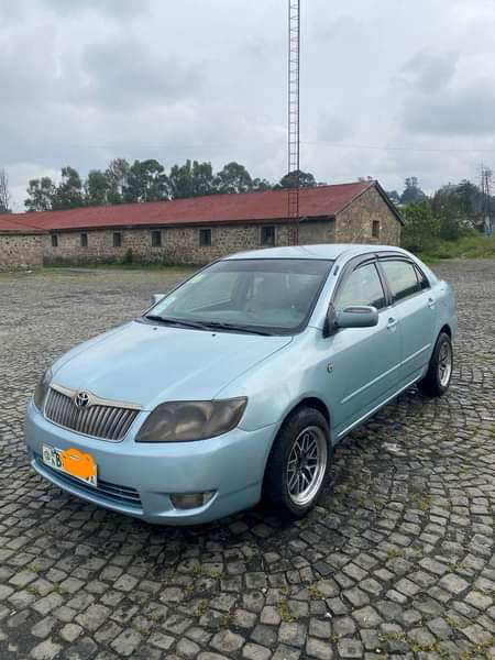 used toyota corolla