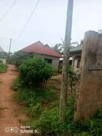 A picture of KIWANJA CHANIKA