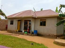 A picture of House