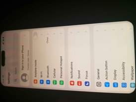 A picture of Nauza iPhone 15 pro max copy