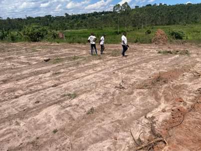 A picture of NAMAYUMBA TITLED PLOTS FOR SELL