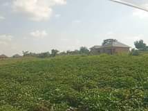 Bushira B.