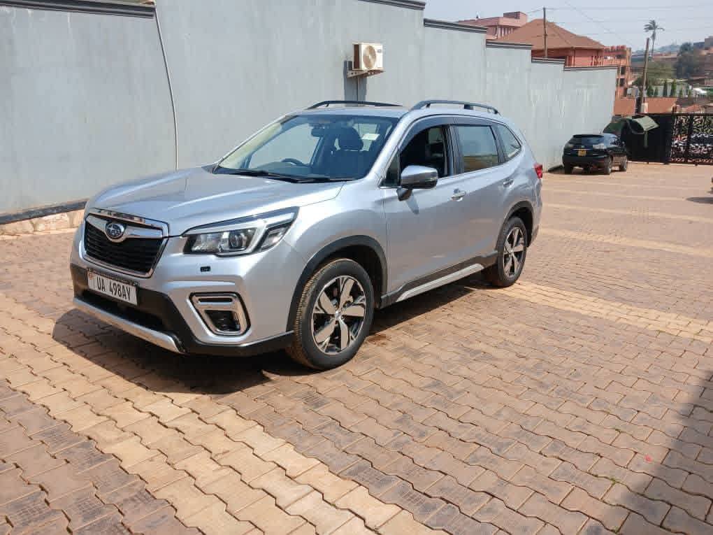 A picture of Forester 2019