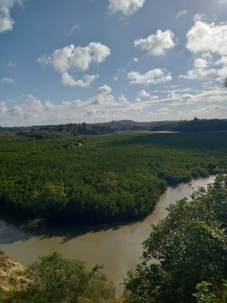 A picture of Lands for sell