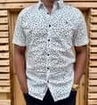 A picture of Shirts