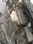 A picture of HARRIER