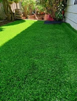 A picture of Carpets