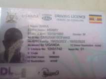A picture of A friend looking for a driving job