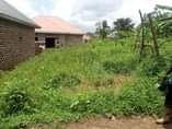 A picture of Plots for sale at Nabingo after Trinity college