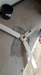 A picture of Kiboko ya joto