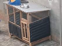 A picture of Cage
