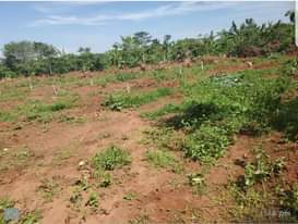 A picture of 3 plots for sale in an estate in kasawo mukono