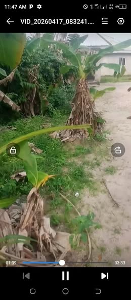 A picture of Land in a very develop place