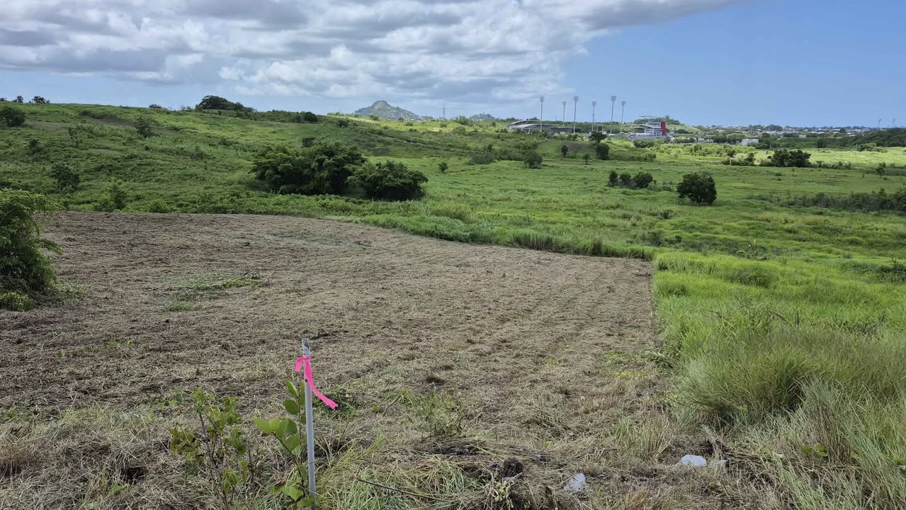 land