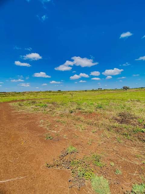 Lands &.