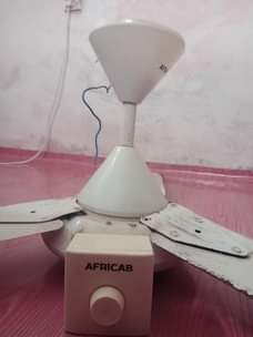 A picture of PANGABOI