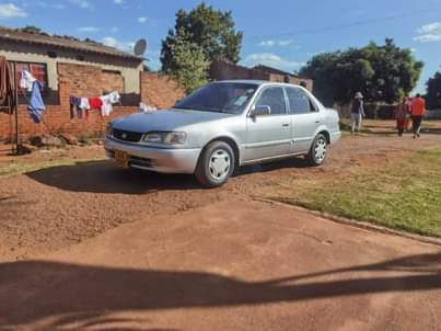 used toyota corolla