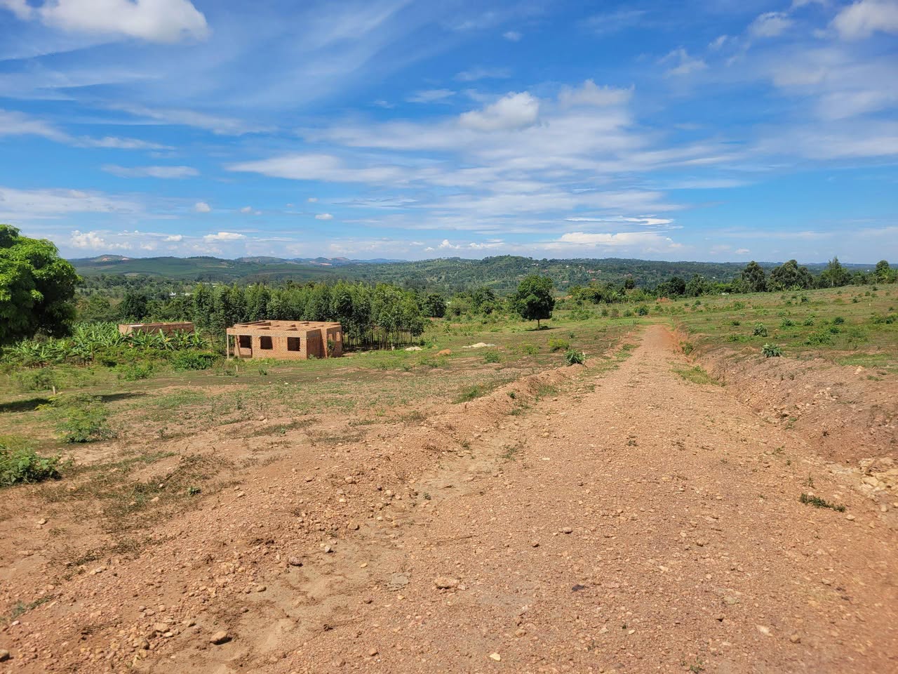 A picture of TITTLED PLOTS FOR SALE