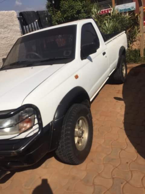 used nissan hardbody