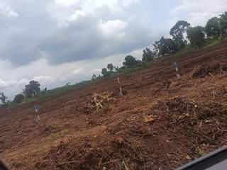 A picture of Bland new plots in matuga ssanga rentals home business 50