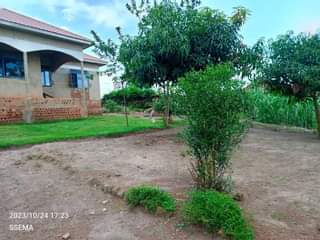 A picture of House
