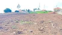 A picture of To get your self a 50 by 100 Ft plot