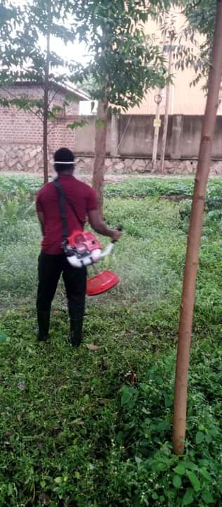 A picture of Mowing Machine
