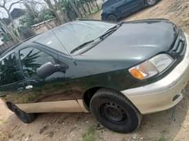 A picture of First body sienna