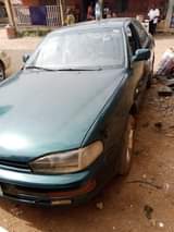 A picture of Camry orobo
