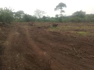 A picture of Matugga kalasa site 2km off main rd