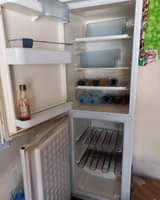 A picture of Frij