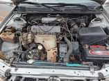 A picture of Camry Tiny