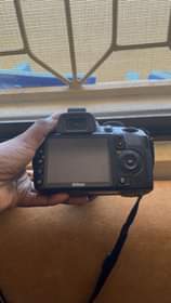 A picture of nikon d3100