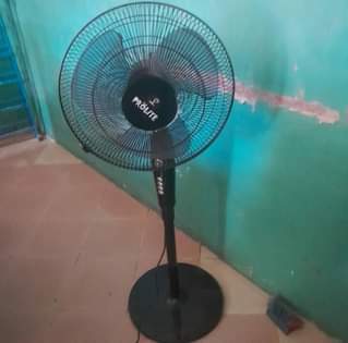 A picture of MTUNGI NA FENI MPYA