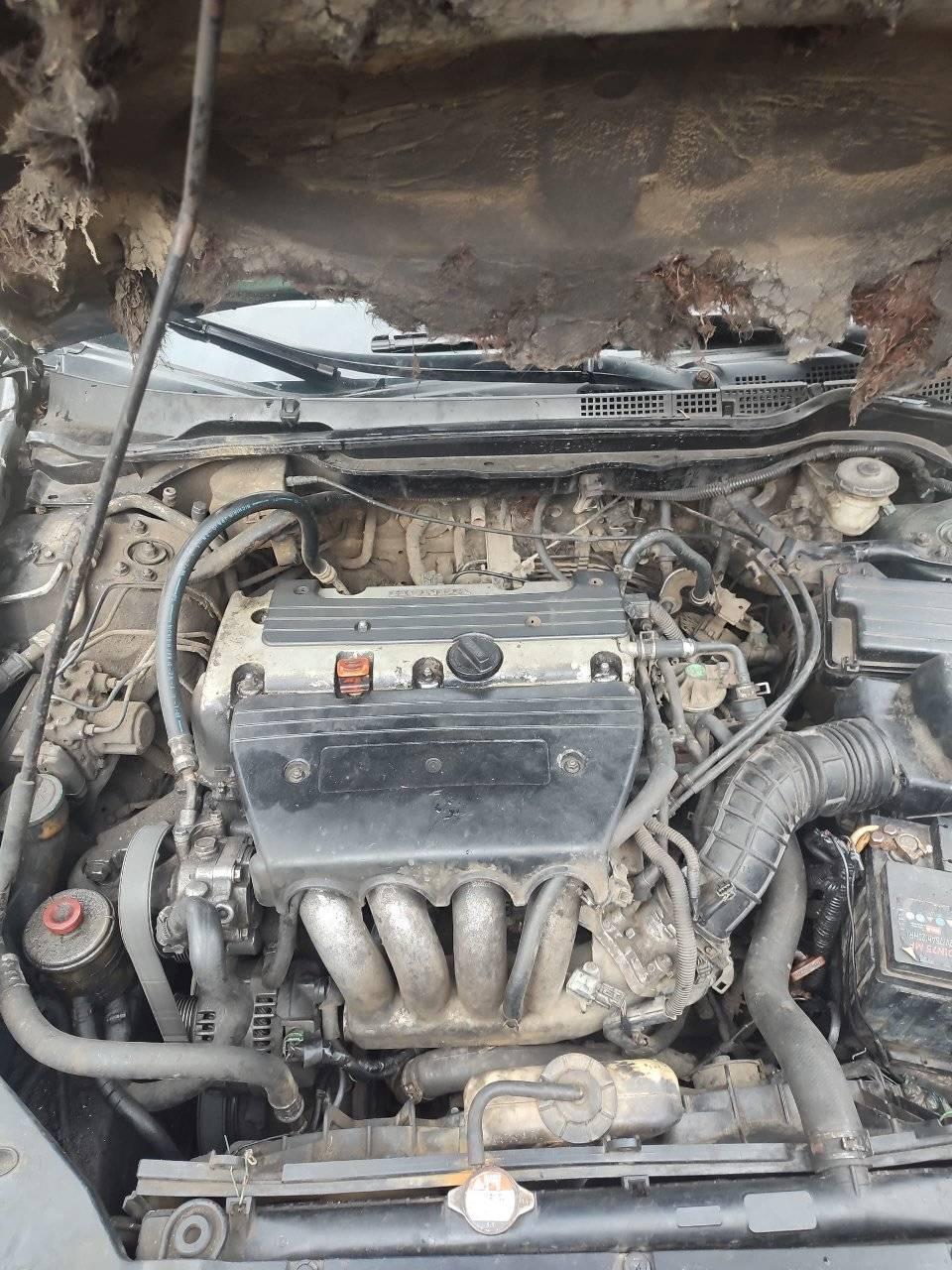 A picture of Honda accord 2004