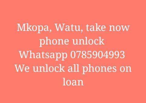 A picture of Whatsapp 0785904993