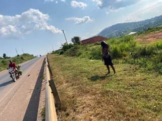 A picture of 4 acres of land in mpigi district on masaka highway