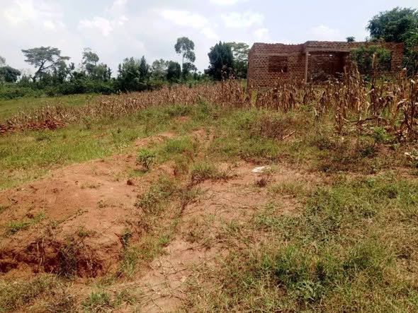 A picture of Plots For Sale Matuga Kitungwa Bombo rd site 1km off