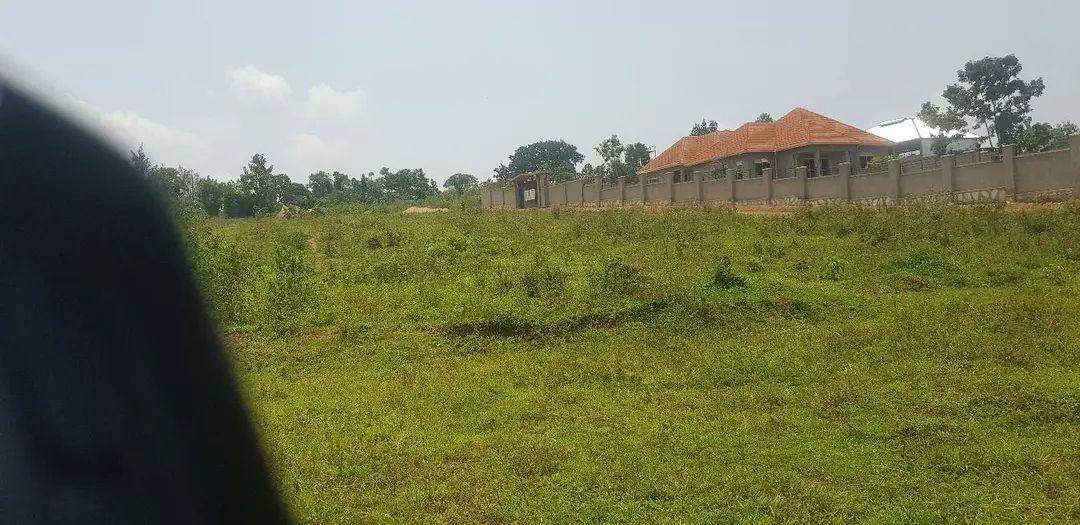 A picture of Gayaza kiwenda plots