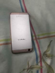 A picture of Oppo F1s