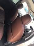 A picture of Vitz