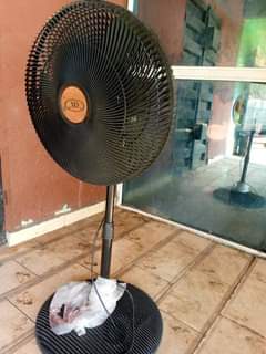 A picture of Ox fan