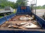A picture of Toyota Dyna for sale