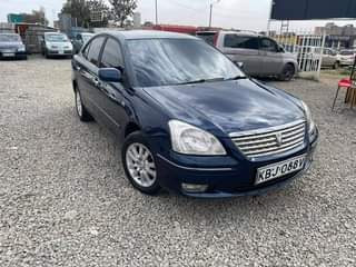 Collo C.