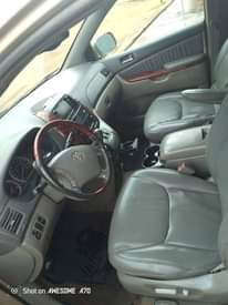 A picture of Registered sienna first body
