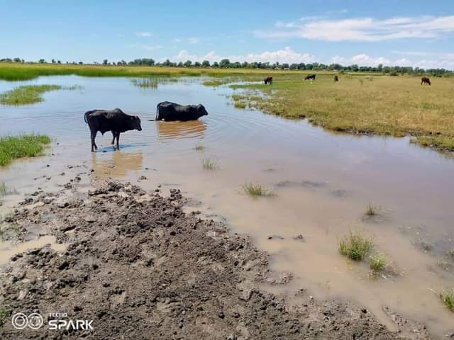 land