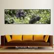 A picture of Wall Deci