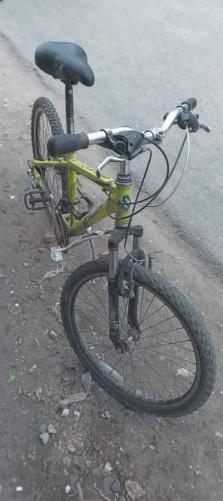 A picture of Baisikeli